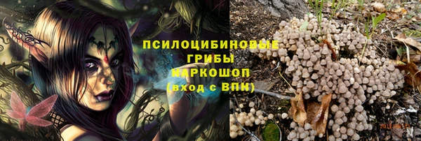 ГАЛЛЮЦИНОГЕННЫЕ ГРИБЫ Бугульма