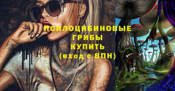 ГАЛЛЮЦИНОГЕННЫЕ ГРИБЫ Бугульма