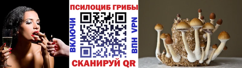 Псилоцибиновые грибы мицелий  Емва 